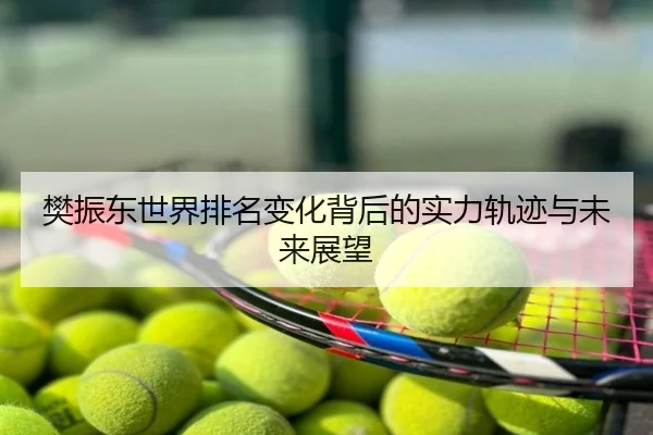 樊振东世界排名变化背后的实力轨迹与未来展望